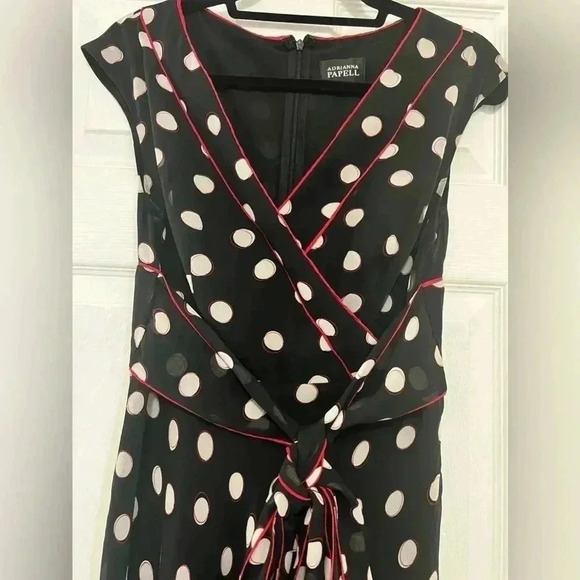 Adrianna Papell  women’s Silk Tie Front Dot Dress  Sz 8 - Picture 8 of 13